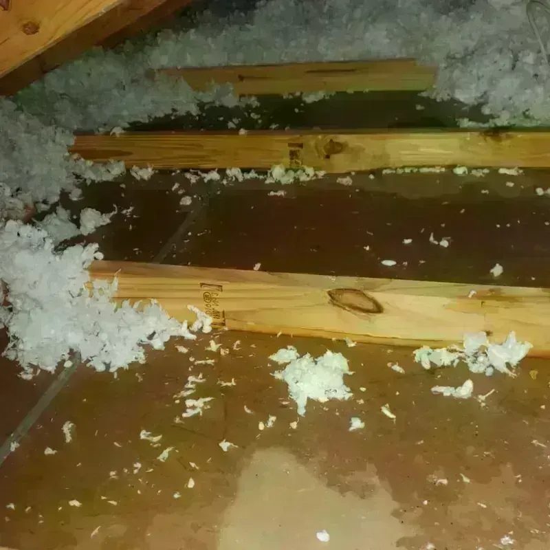 Attic Water Damage in Columbia, NC